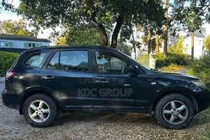 Hyundai Santa Fe 3.3 SE 2007 Autre