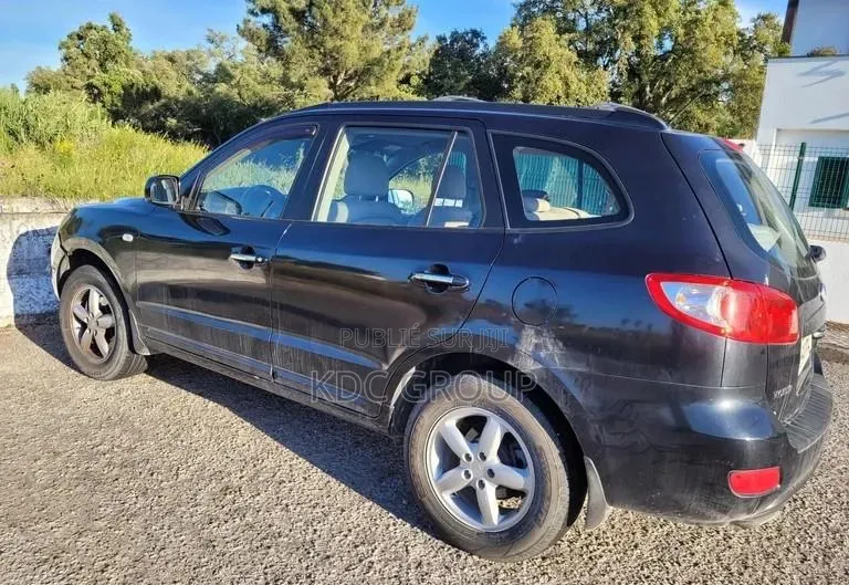 Hyundai Santa Fe 3.3 SE 2007 Autre
