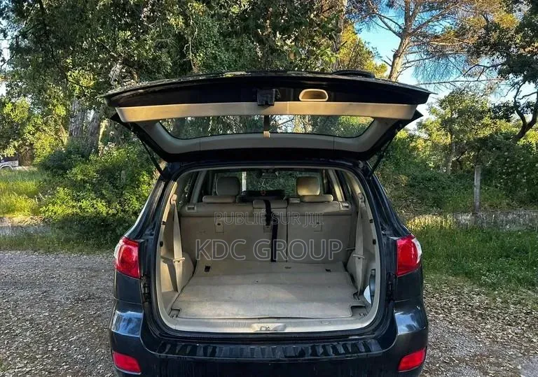 Hyundai Santa Fe 3.3 SE 2007 Autre