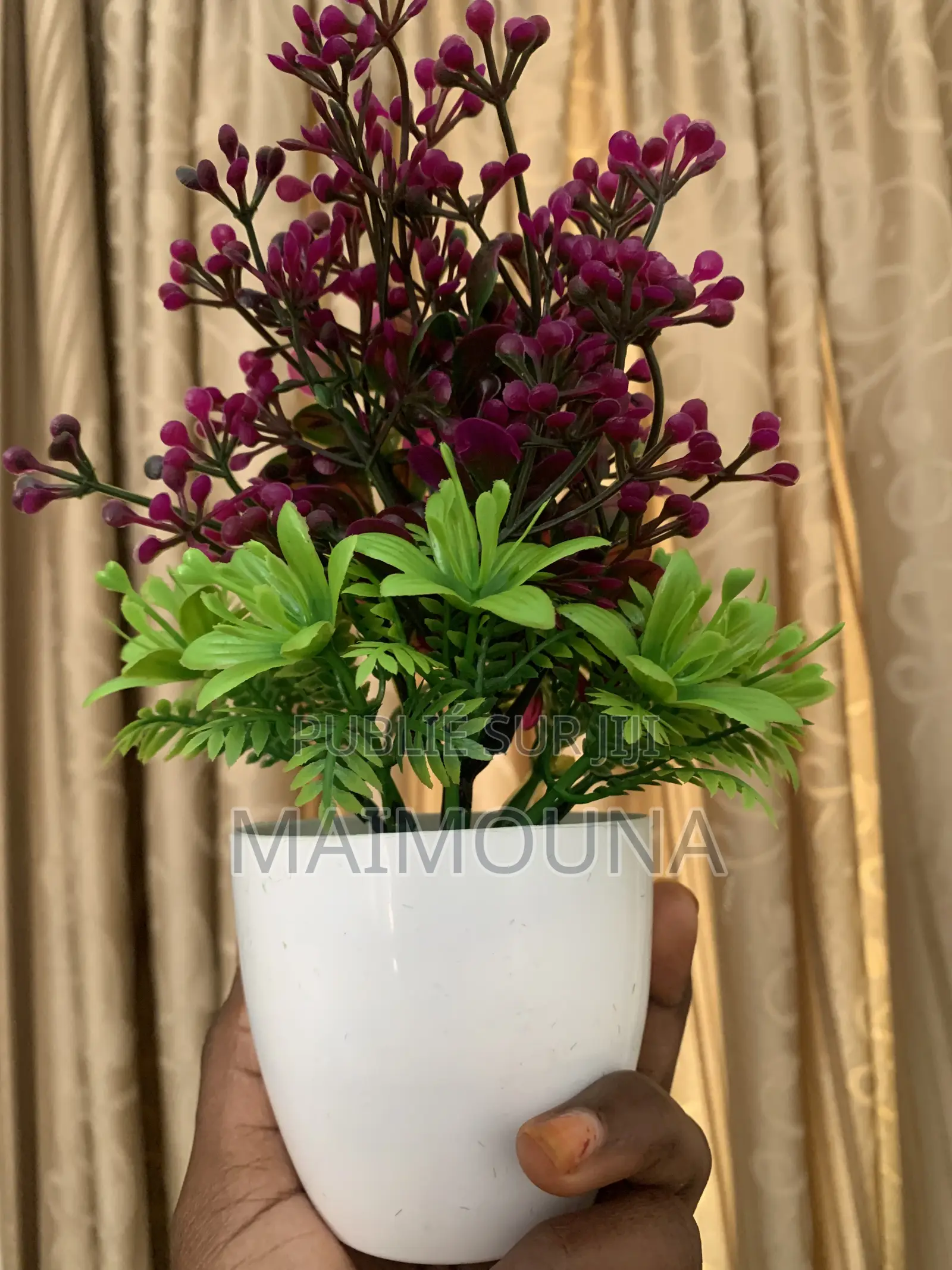 Pot De Fleurs