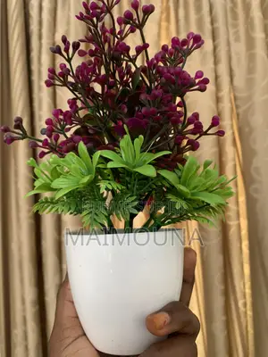 Pot De Fleurs