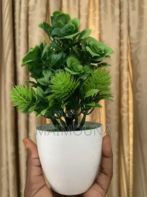 Pot De Fleurs