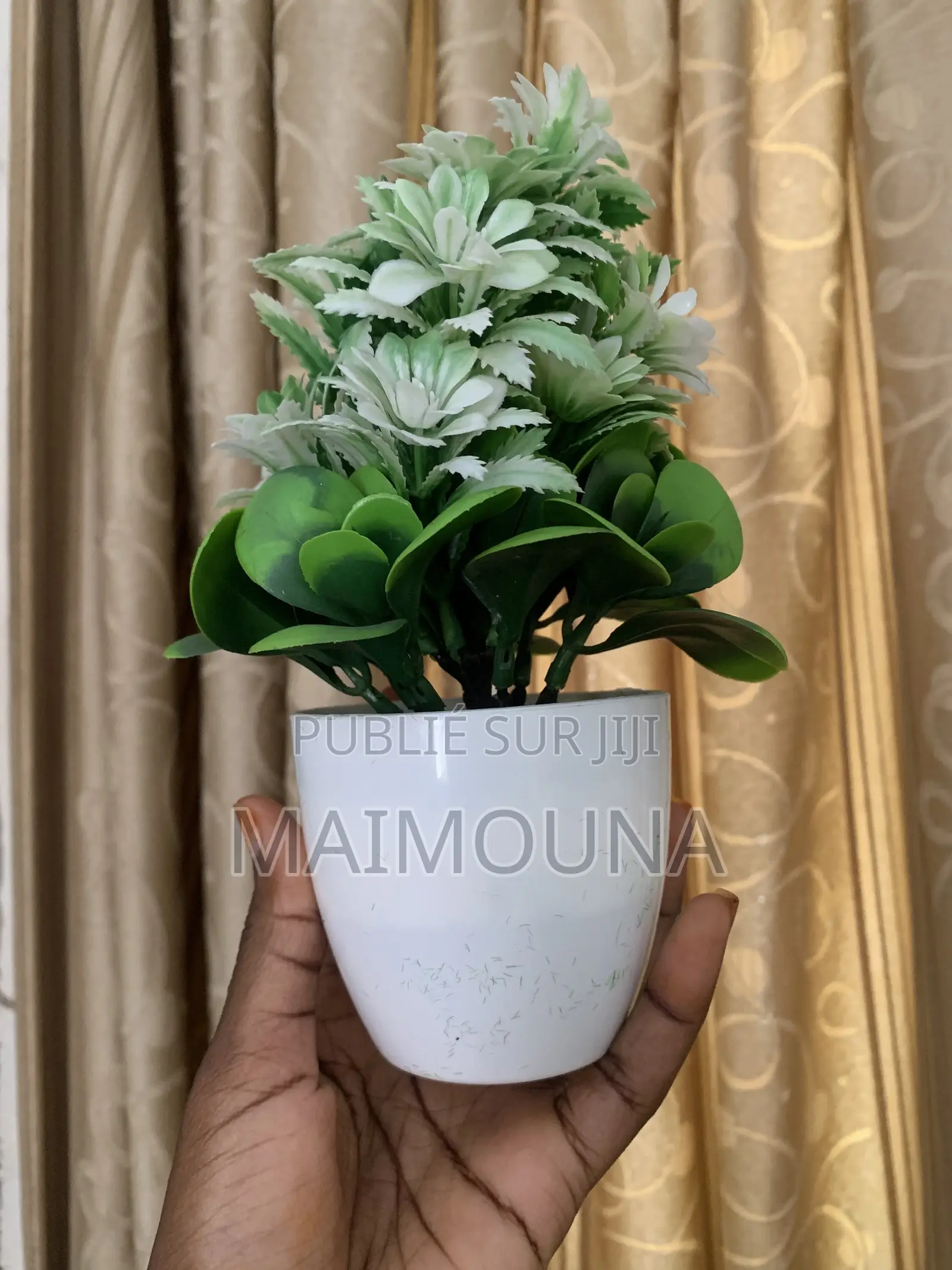 Pot De Fleurs