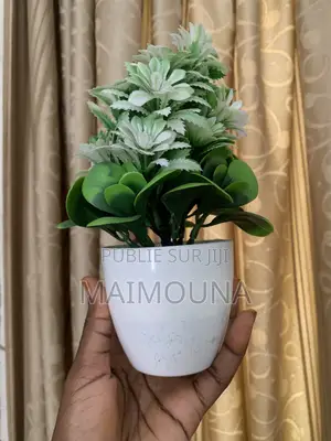 Pot De Fleurs
