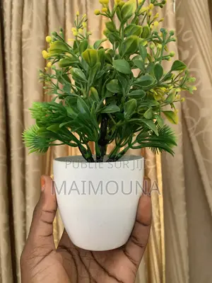 Pot De Fleurs