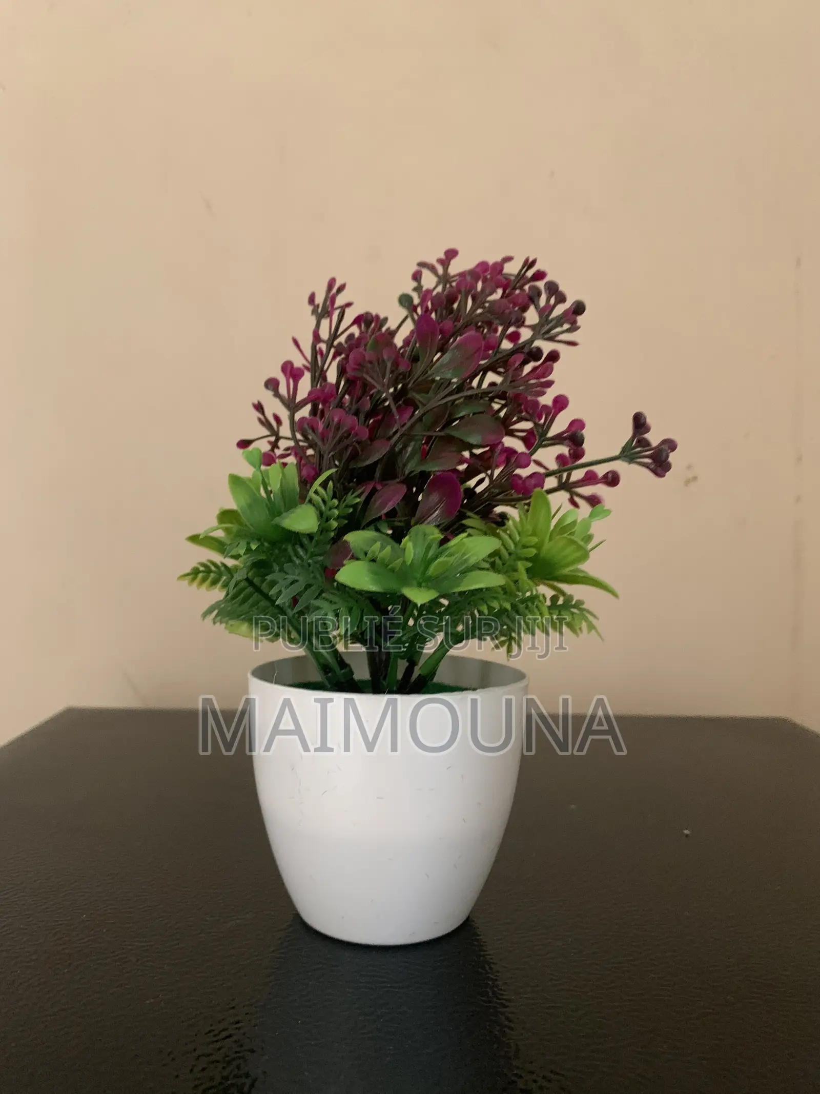 Pot De Fleurs