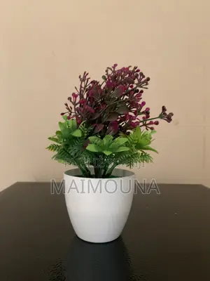 Pot De Fleurs