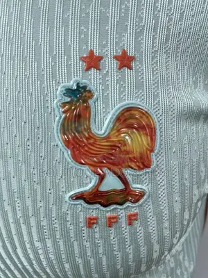 Maillot Coupe Du Monde France 2026/2027