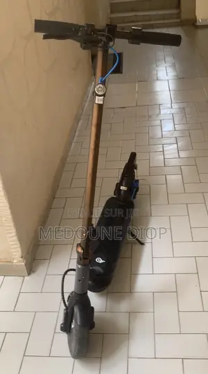 Trottinette Électrique