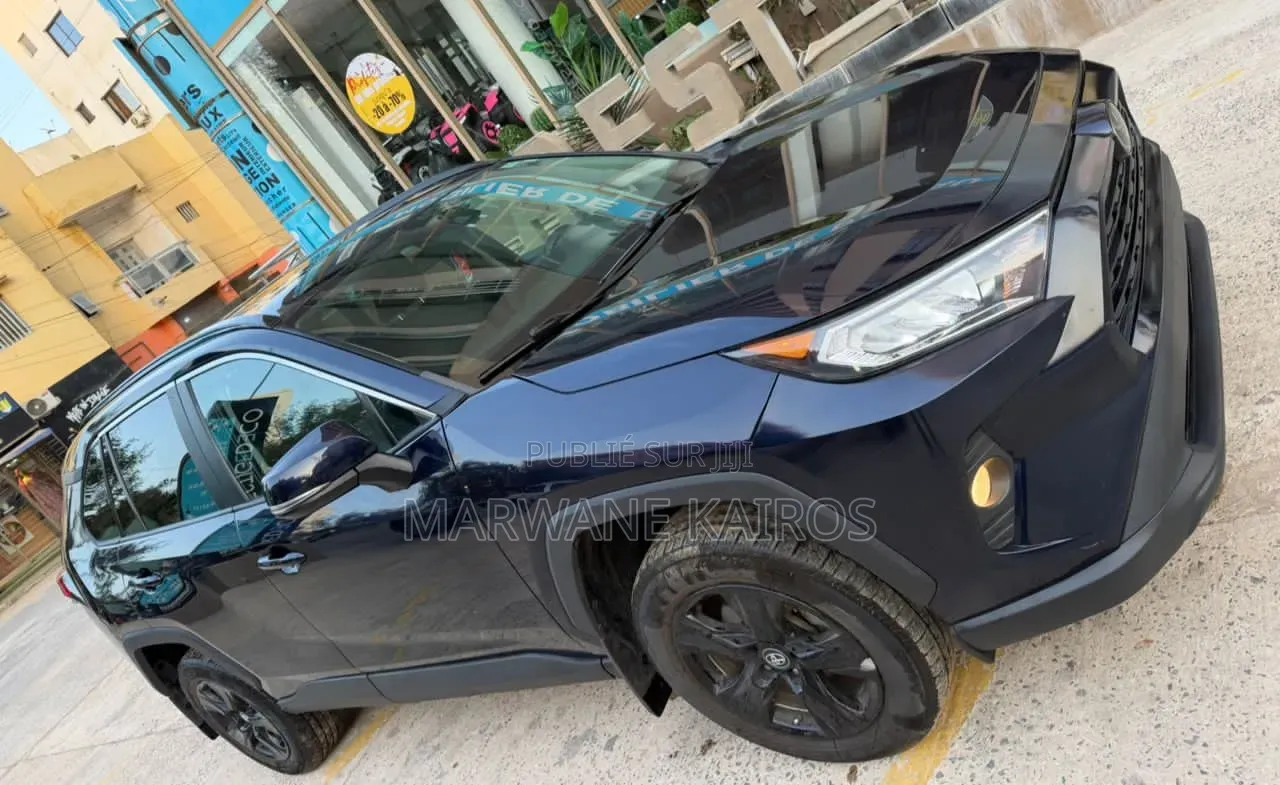 Toyota RAV4 2019 Bleu