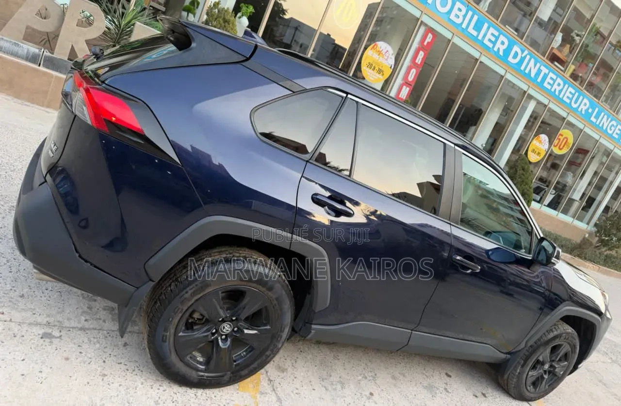 Toyota RAV4 2019 Bleu