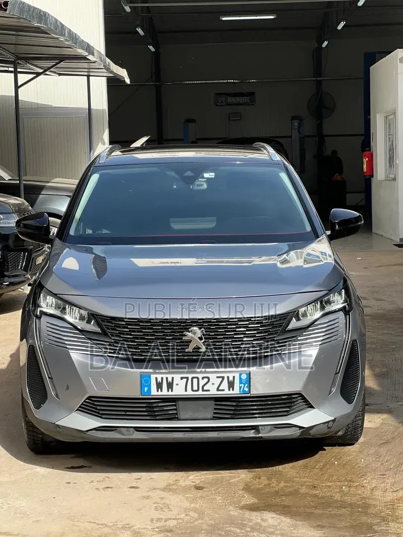 Peugeot 3008 2021 Gris