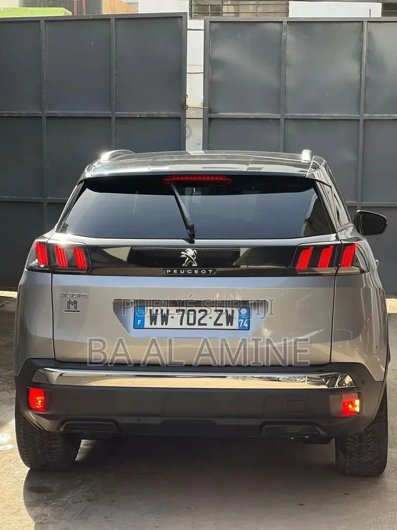 Peugeot 3008 2021 Gris