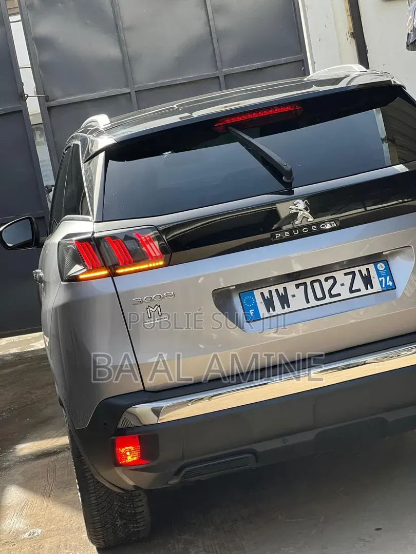 Peugeot 3008 2021 Gris