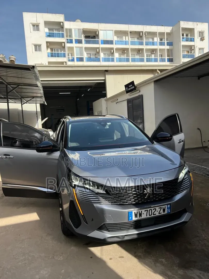 Peugeot 3008 2021 Gris