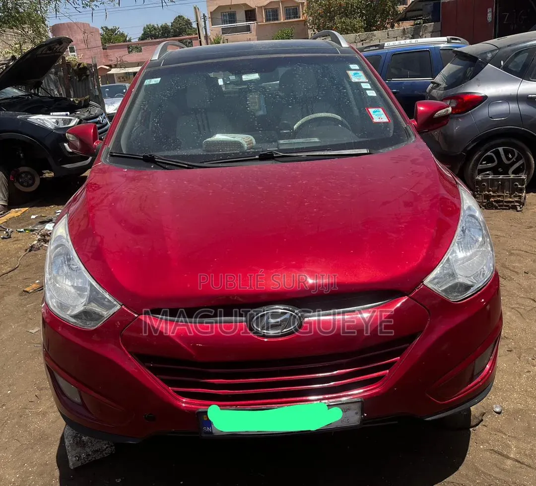 Hyundai Tucson 2010 Bordeaux