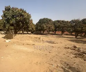 Investissement Vert : 1,03 Hectare Dans La Zone Horticole De Bambylor