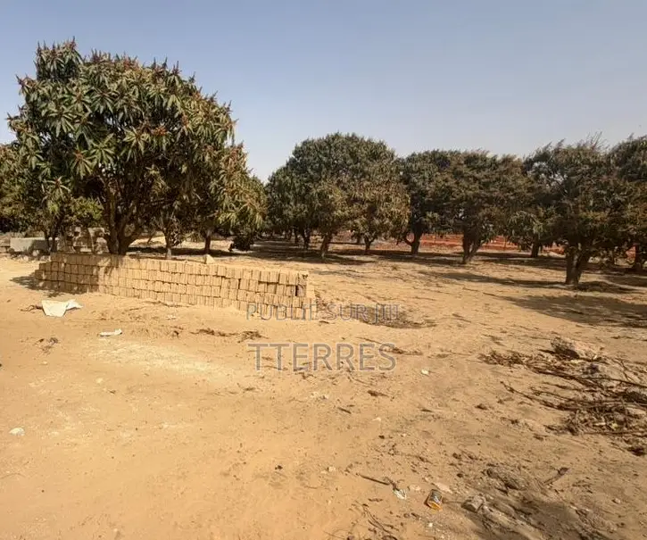 Investissement Vert : 1,03 Hectare Dans La Zone Horticole De Bambylor