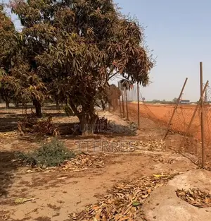 Investissement Vert : 1,03 Hectare Dans La Zone Horticole De Bambylor