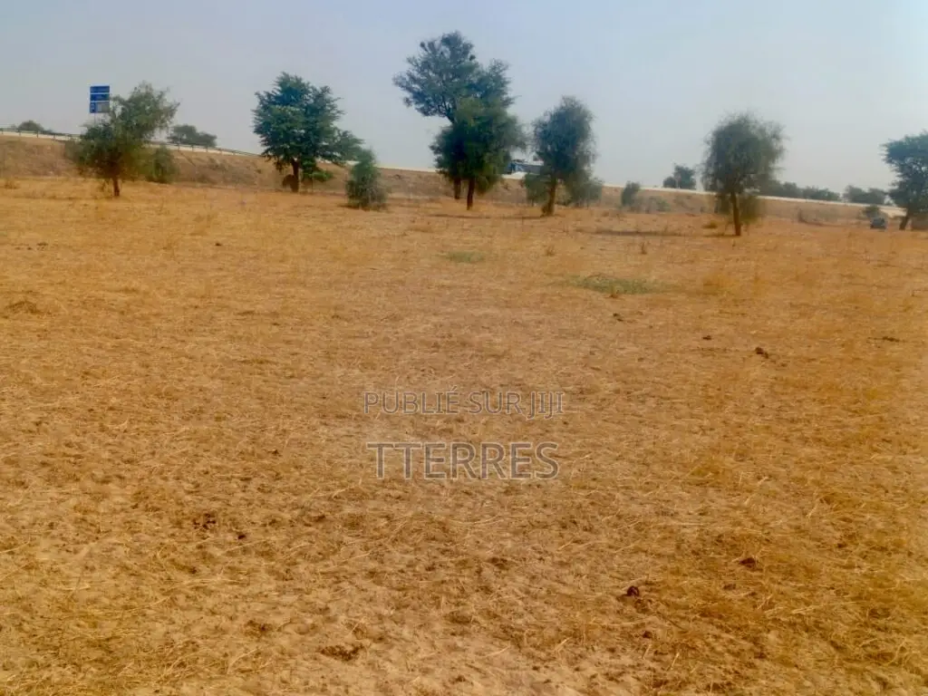 Terrain Agricole De 3,81 Hectares Vers Dalla Ngabou – Diourbel