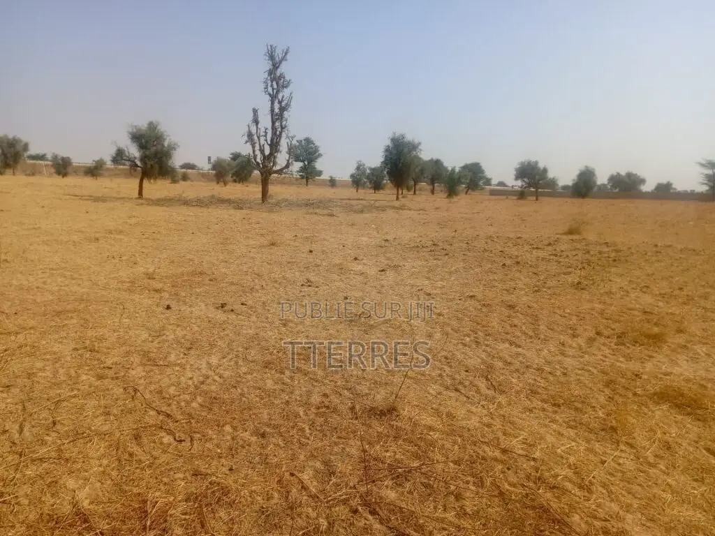Terrain Agricole De 3,81 Hectares Vers Dalla Ngabou – Diourbel