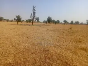 Terrain Agricole De 3,81 Hectares Vers Dalla Ngabou – Diourbel