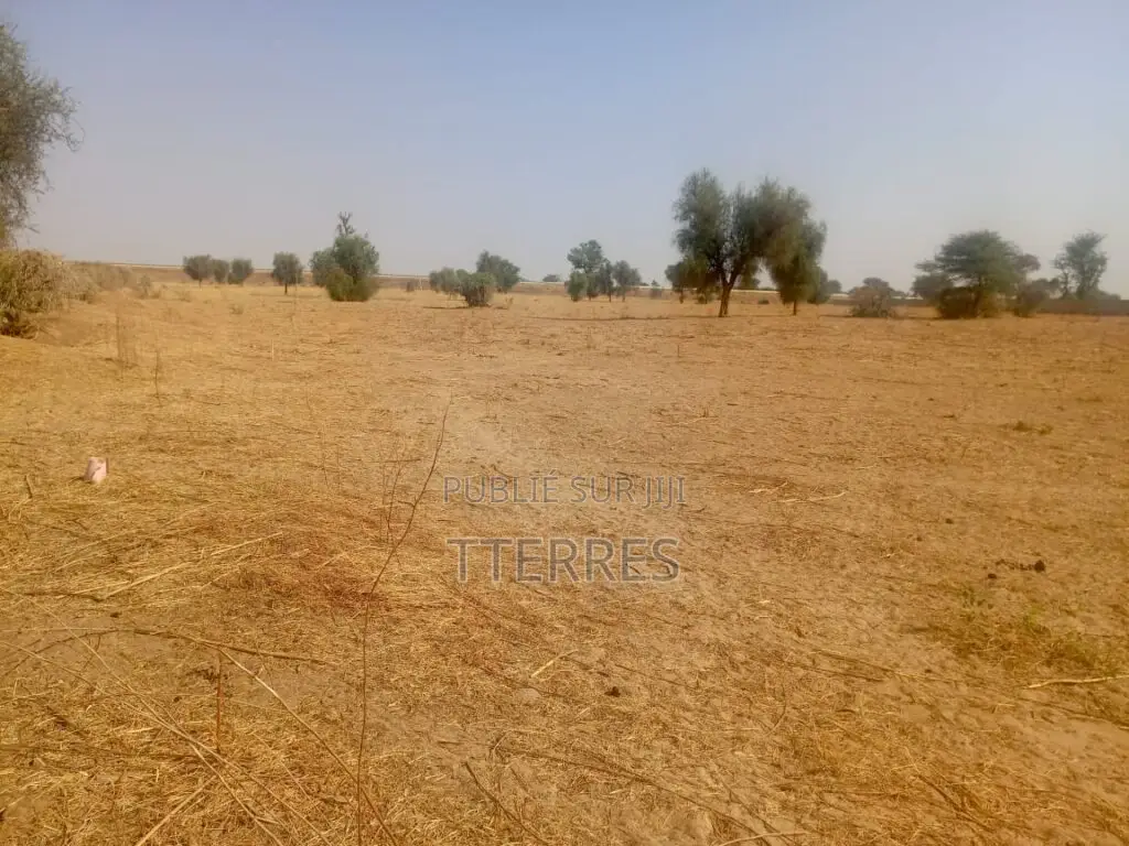 Terrain Agricole De 3,81 Hectares Vers Dalla Ngabou – Diourbel
