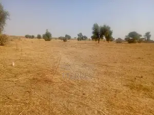 Terrain Agricole De 3,81 Hectares Vers Dalla Ngabou – Diourbel