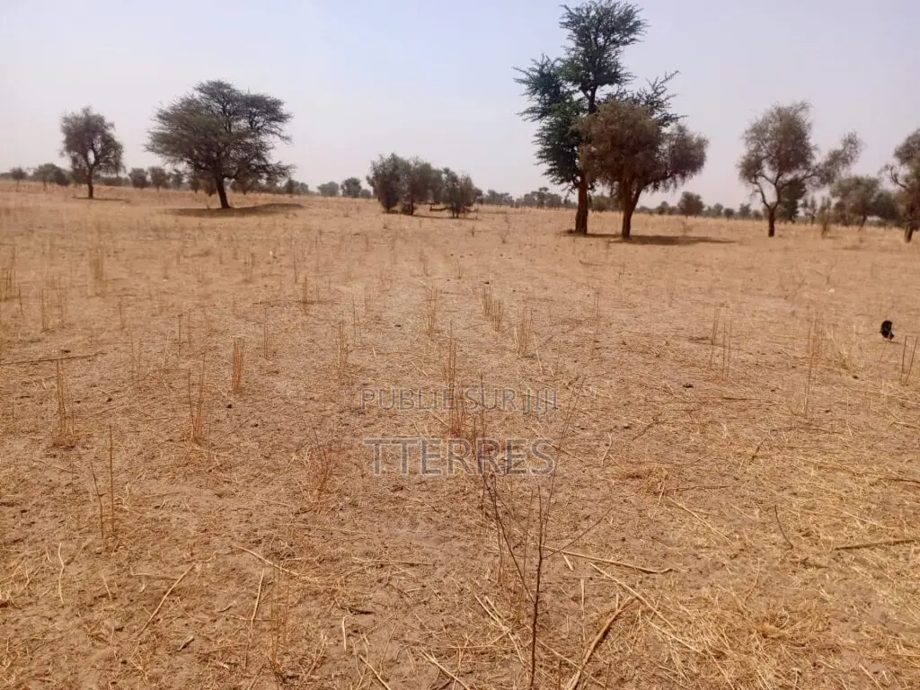 Terrain Agricole De 9,29 Hectares Vers Dalla Ngabou – Diourbel