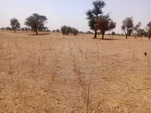 Terrain Agricole De 9,29 Hectares Vers Dalla Ngabou – Diourbel