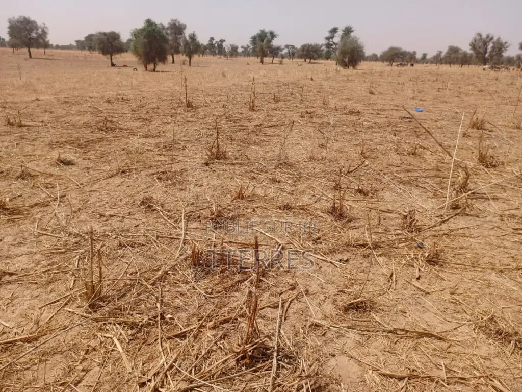 Terrain Agricole De 9,29 Hectares Vers Dalla Ngabou – Diourbel