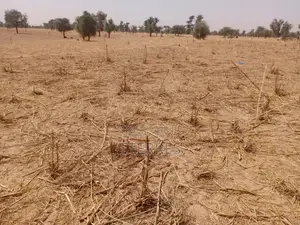 Terrain Agricole De 9,29 Hectares Vers Dalla Ngabou – Diourbel