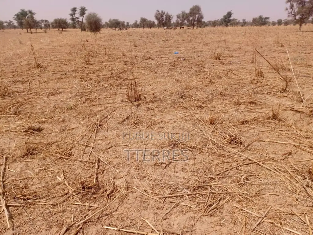 Terrain Agricole De 9,29 Hectares Vers Dalla Ngabou – Diourbel