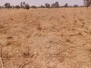 Terrain Agricole De 9,29 Hectares Vers Dalla Ngabou – Diourbel