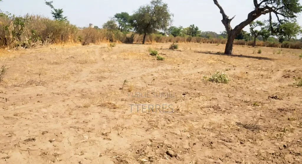 Terrain Agricole De 9.861 M2 Vers Notto Diobass – Thiès