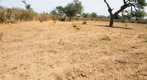 Terrain Agricole De 9.861 M2 Vers Notto Diobass – Thiès