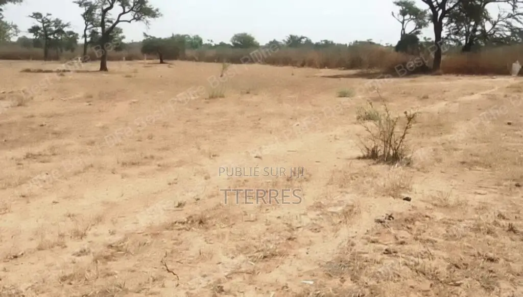 Terrain Agricole De 9.861 M2 Vers Notto Diobass – Thiès