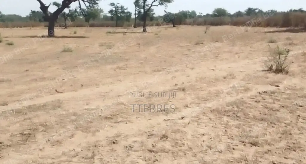 Terrain Agricole De 9.861 M2 Vers Notto Diobass – Thiès