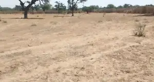 Terrain Agricole De 9.861 M2 Vers Notto Diobass – Thiès