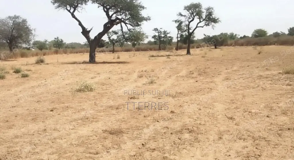 Terrain Agricole De 9.861 M2 Vers Notto Diobass – Thiès