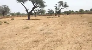Terrain Agricole De 9.861 M2 Vers Notto Diobass – Thiès