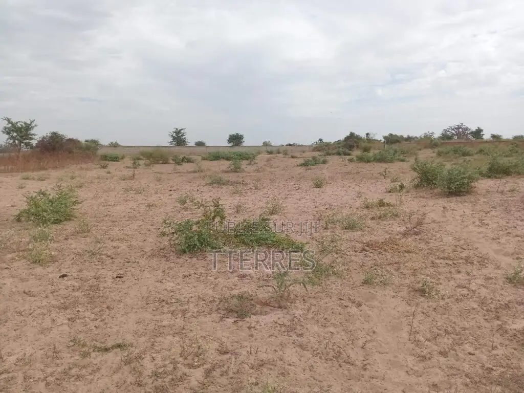 Terrain Agricole De 1,50 Hectare Vers Sindia – Mbour