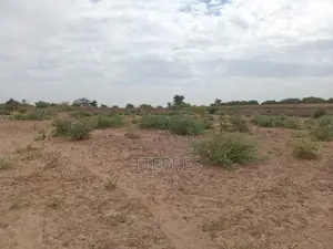Terrain Agricole De 1,50 Hectare Vers Sindia – Mbour
