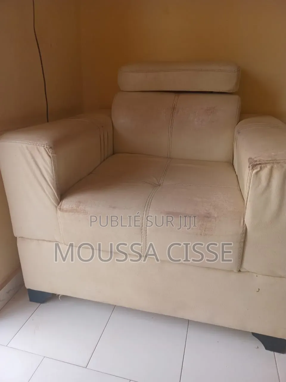 Fauteuils en Cuir