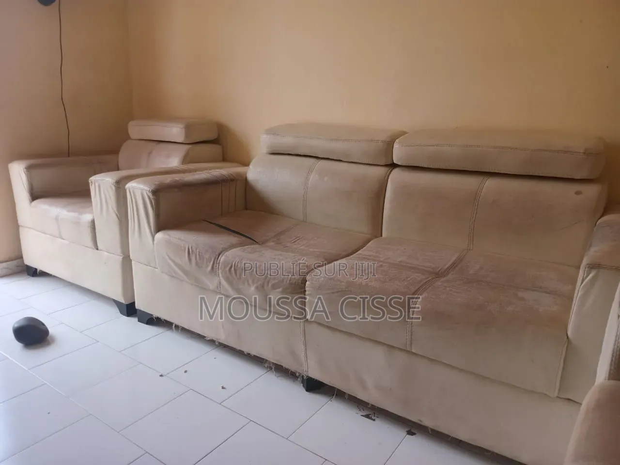 Fauteuils en Cuir