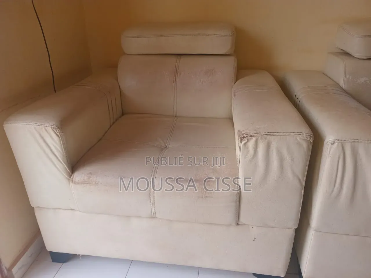 Fauteuils en Cuir