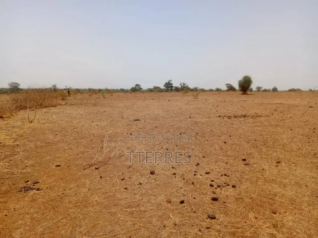 Terrain Agricole De 1,31 Hectare Vers Tassette – Thiès