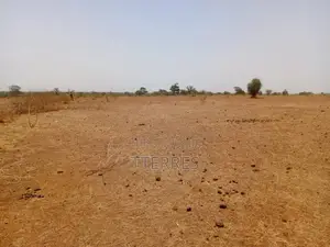 Terrain Agricole De 1,31 Hectare Vers Tassette – Thiès