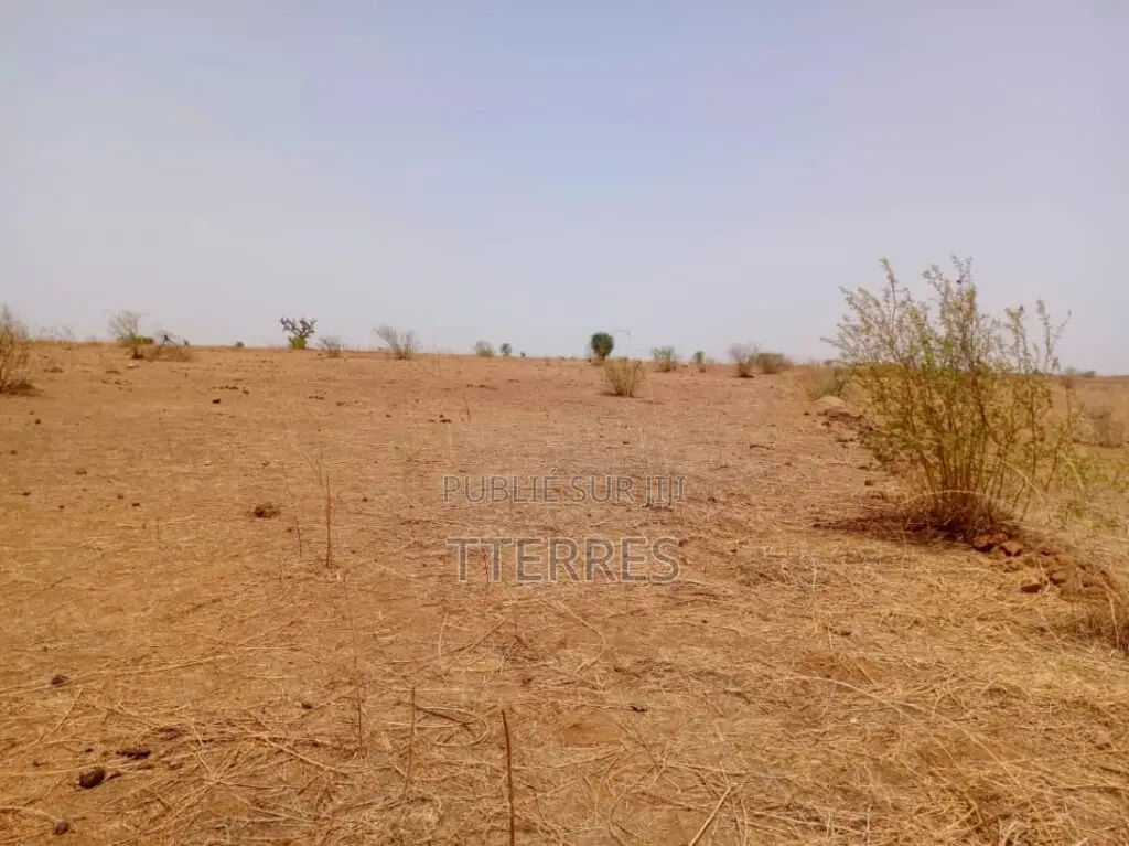 Terrain Agricole De 1,31 Hectare Vers Tassette – Thiès