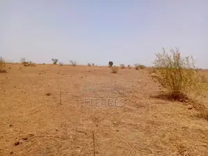Terrain Agricole De 1,31 Hectare Vers Tassette – Thiès